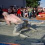20140614_18-51-40_IMG_9213